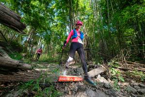 BIB: 
                            <button type="button" onclick="openModal(19390037)" class="btn btn-primary btn-sm float-right btn-popup" data-toggle="modal" data-target=".modal-high-quality">
                        <i class="fas fa-shopping-cart"></i> Add to Cart
                    </button>
                                            <button type="button" onclick="isThisMe(19390037, true)" class="btn btn-success btn-sm float-right btn-popup btn-isme hidden" data-toggle="tooltip" data-placement="bottom" title="นี่คือรูปของคุณใช่ไหม คลิกที่นี่เพื่อเอาเข้าอัลบั้ม">
                        <i class="fas fa-plus"></i> Add to album
                    </button>
                    <button type="button" onclick="isThisMe(19390037, false)" class="btn btn-warning btn-sm float-right btn-popup btn-isnotme hidden">
                        <i class="fas fa-ban"></i> Remove from album
                    </button>